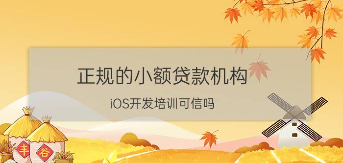 正规的小额贷款机构 iOS开发培训可信吗？